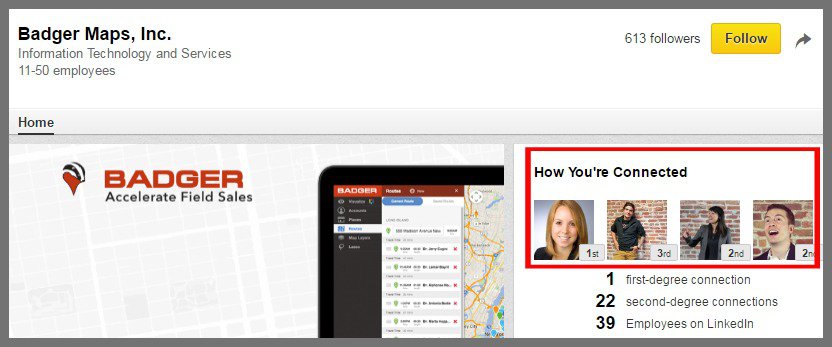 badger maps linkedin